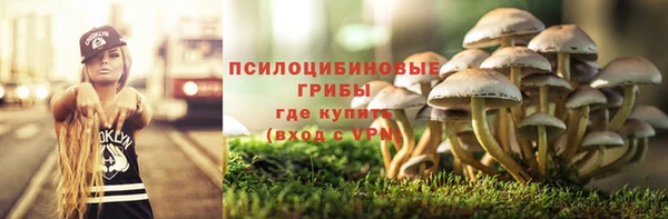 дмт Осташков
