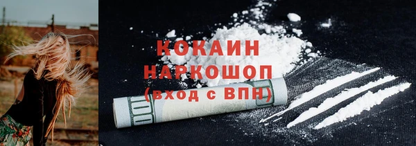 дмт Осташков