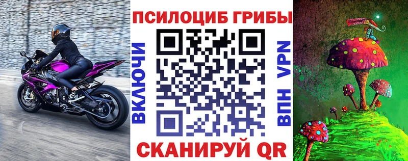 Псилоцибиновые грибы Psilocybe  Кадников 